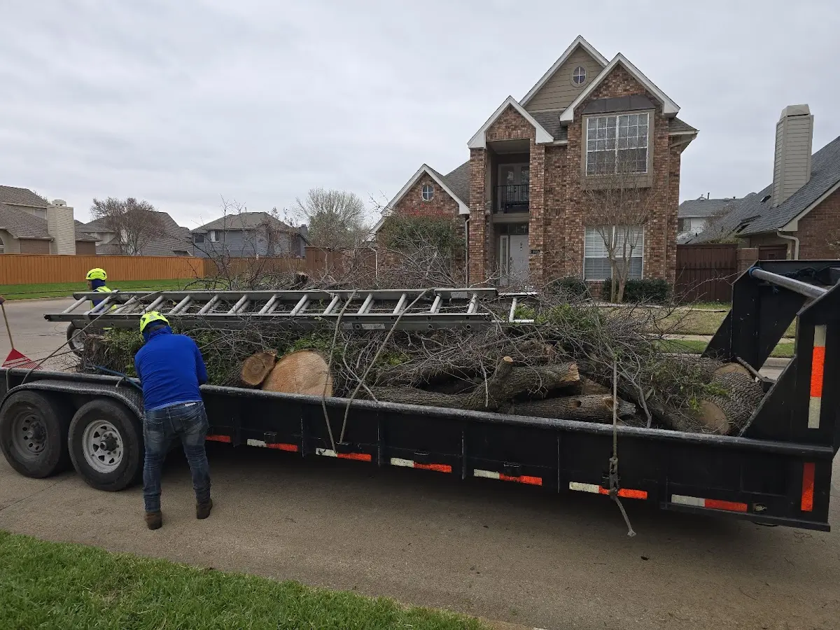 Expert Tree Removal with proper safety equipment in Conway Springs